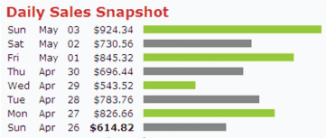 daily-sales-snapshot